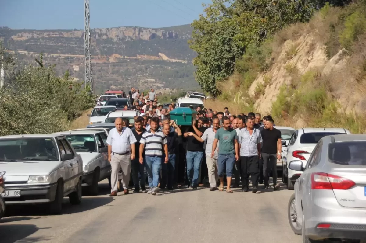 Ceviz Toplarken Elektrik Akımına Kapıldı, Trafik Kazasında Hayatını Kaybetti